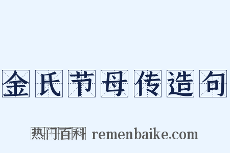金氏节母传造句是什么意思的图片